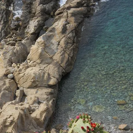 Caponero